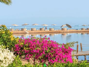 movenpick-resort-spa-el-gouna