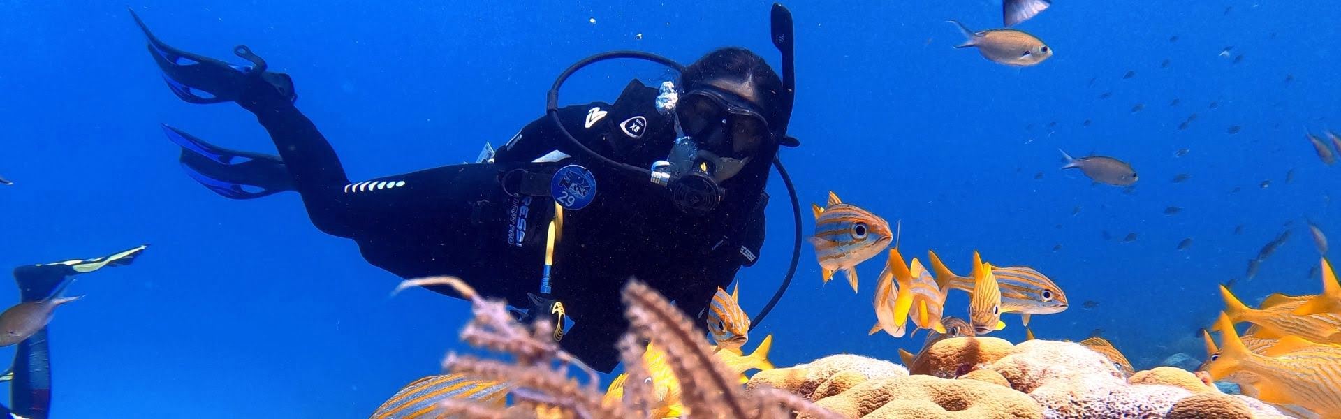Stay at the Best Dive Resorts