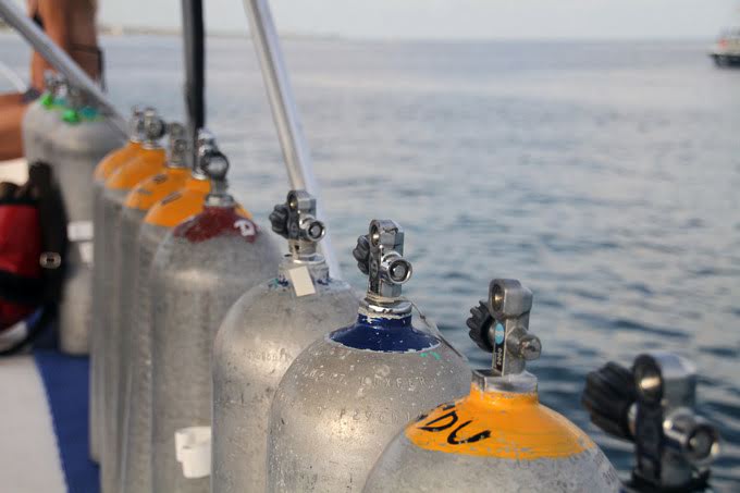 M/Y Sea Serpent - Diving